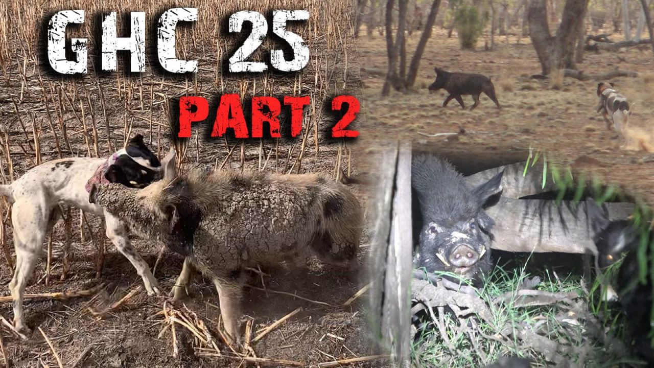 E25 - GHC Part 2