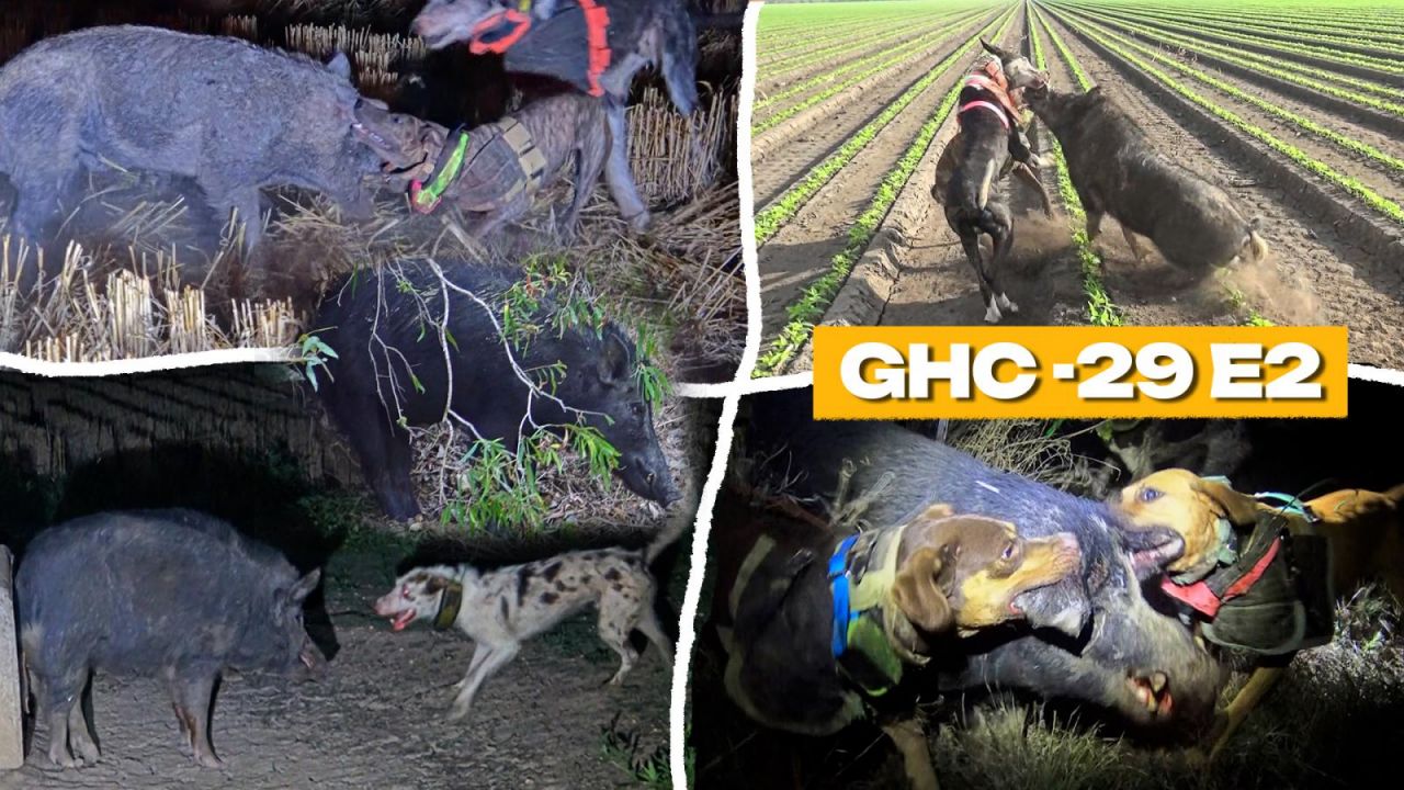 GHC S29 E02