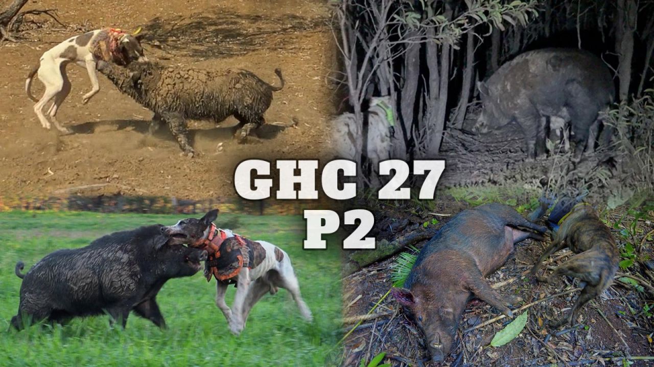GHC 27 - Part 2