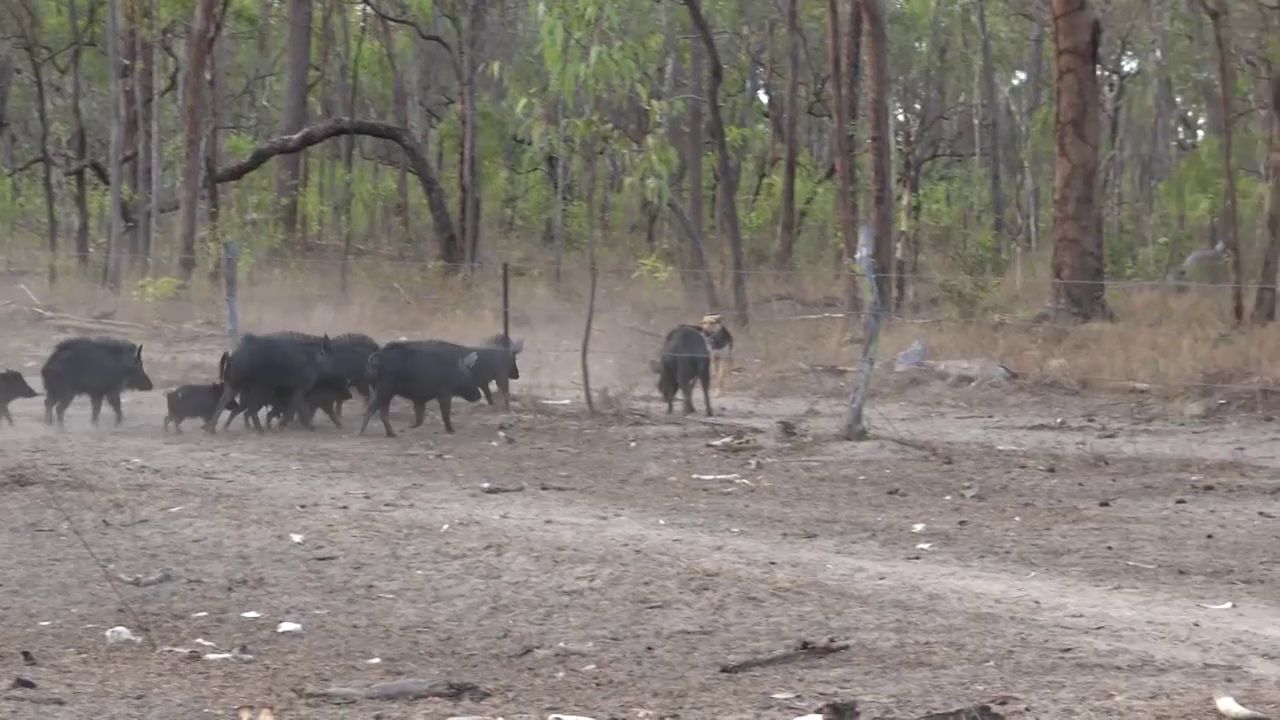 GHC #6