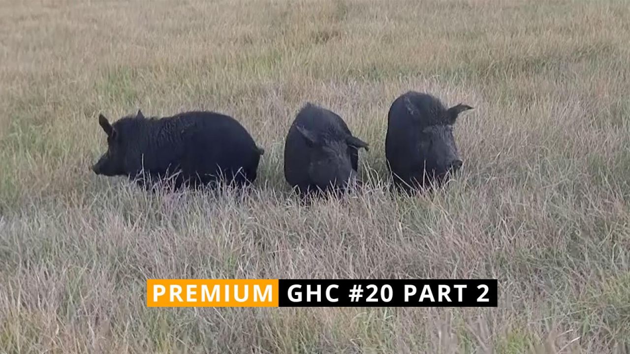 GHC #20 - (P2) The Next Level