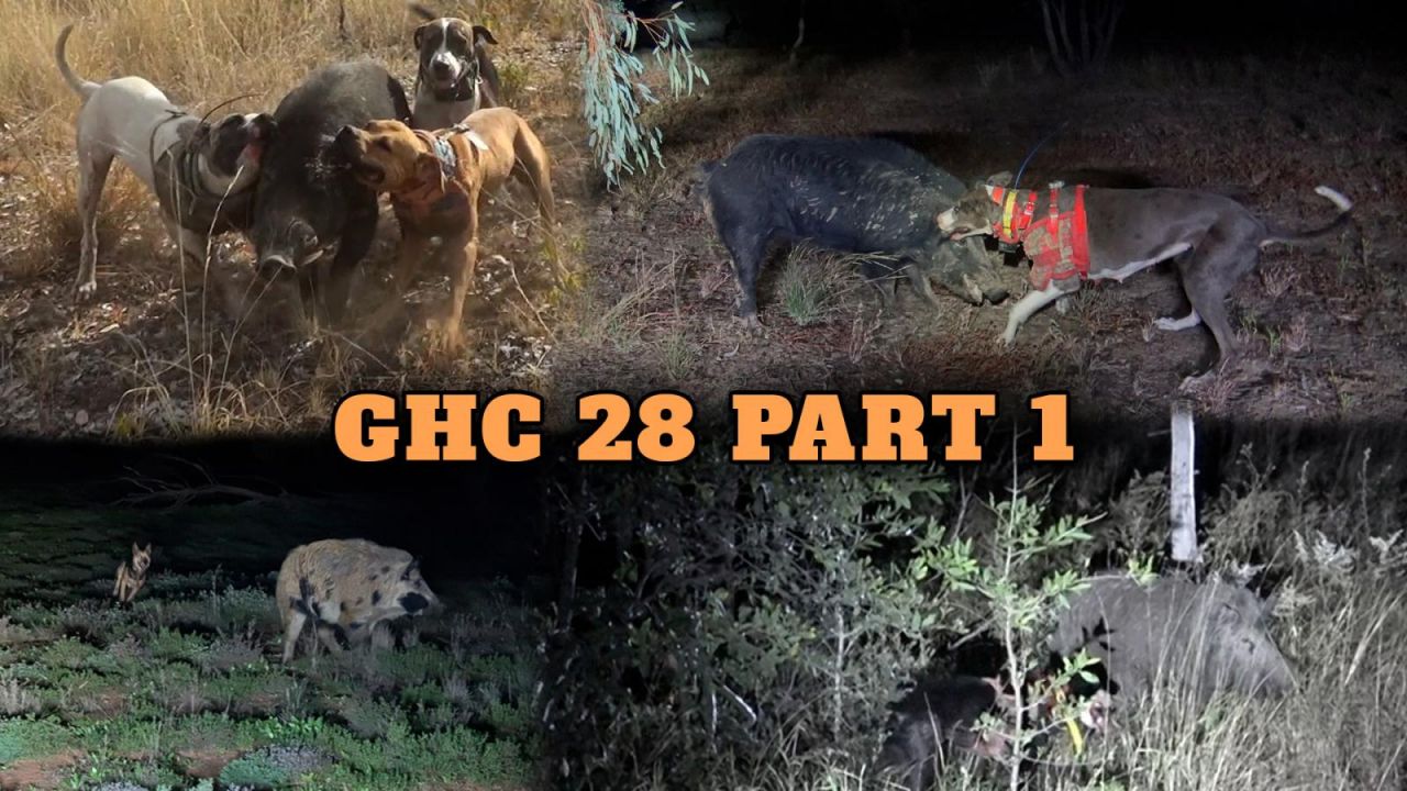 GHC 28 Part 1