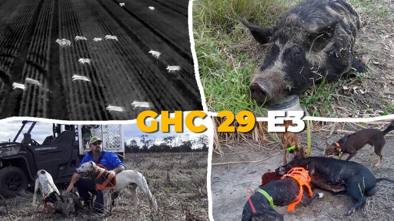 GHC S29 E03
