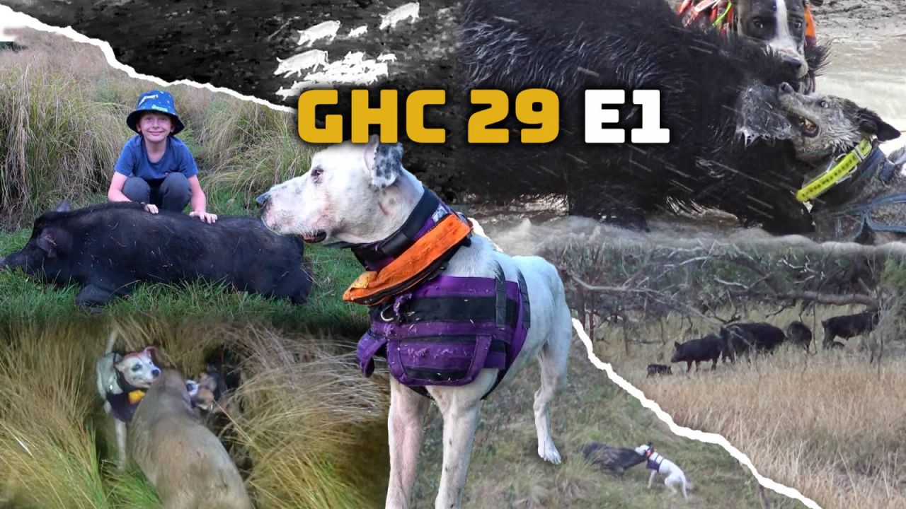 GHC S29 E01
