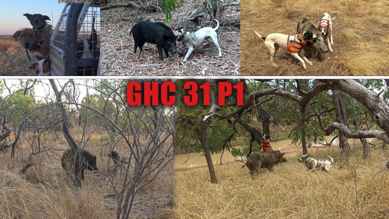 GHC S31 E1