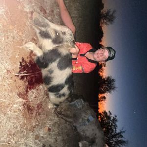 Mac Hamilton Profile Picture