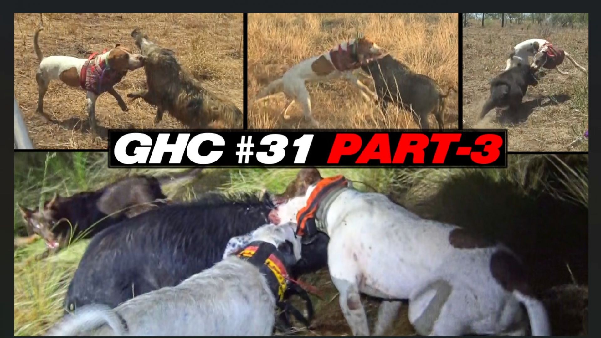 GHC S31 E3