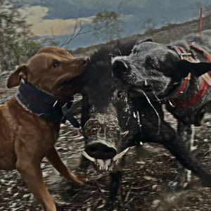 Xenan Cox profile picture