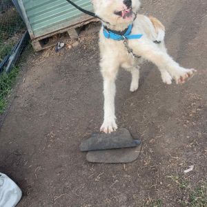 Taliah  Stevens profile picture