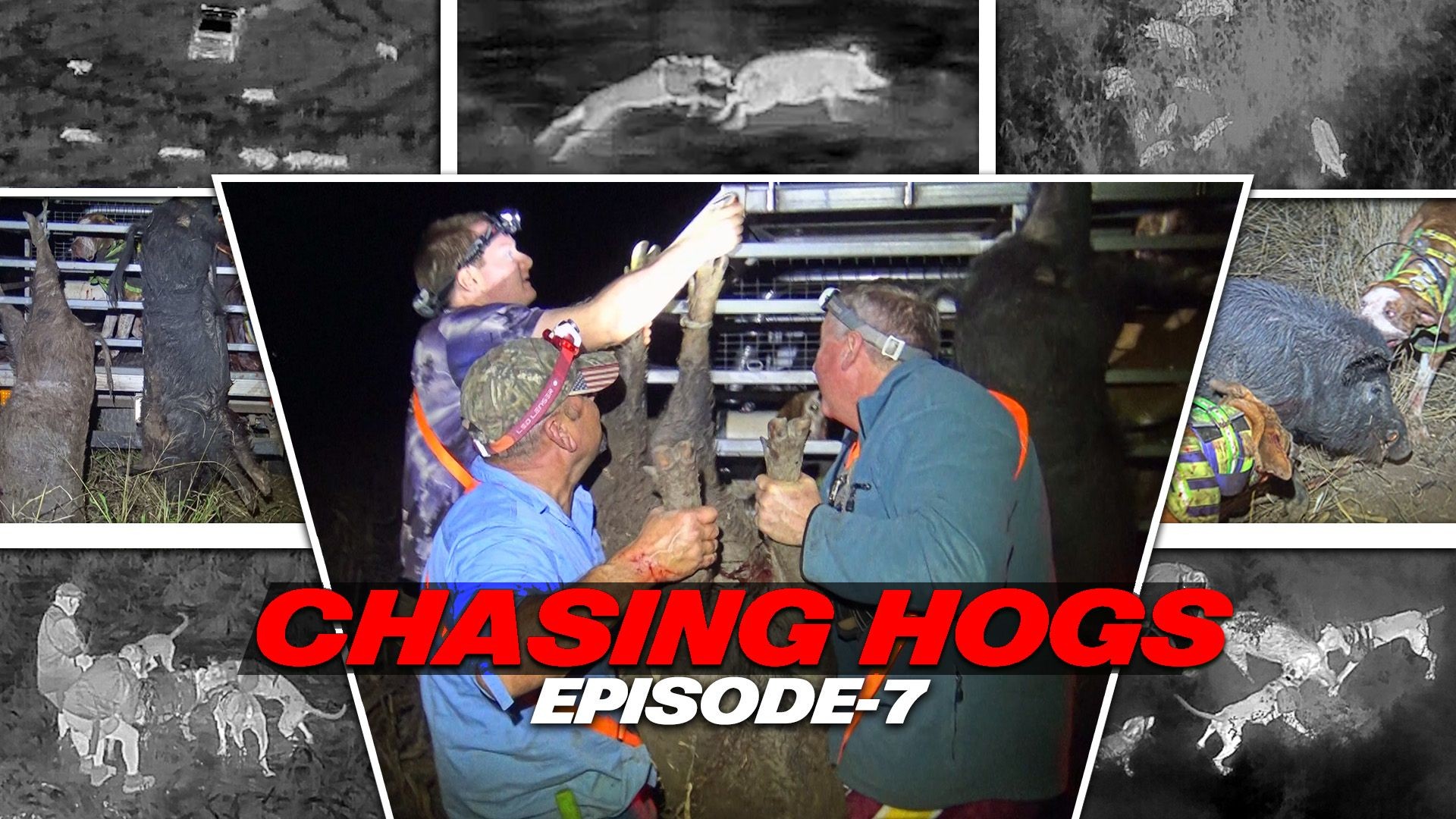 E7 Chasing Hogs