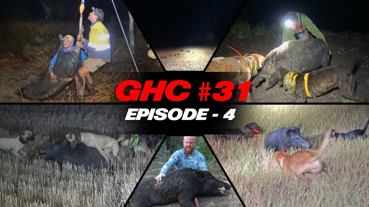 GHC S31 - E4