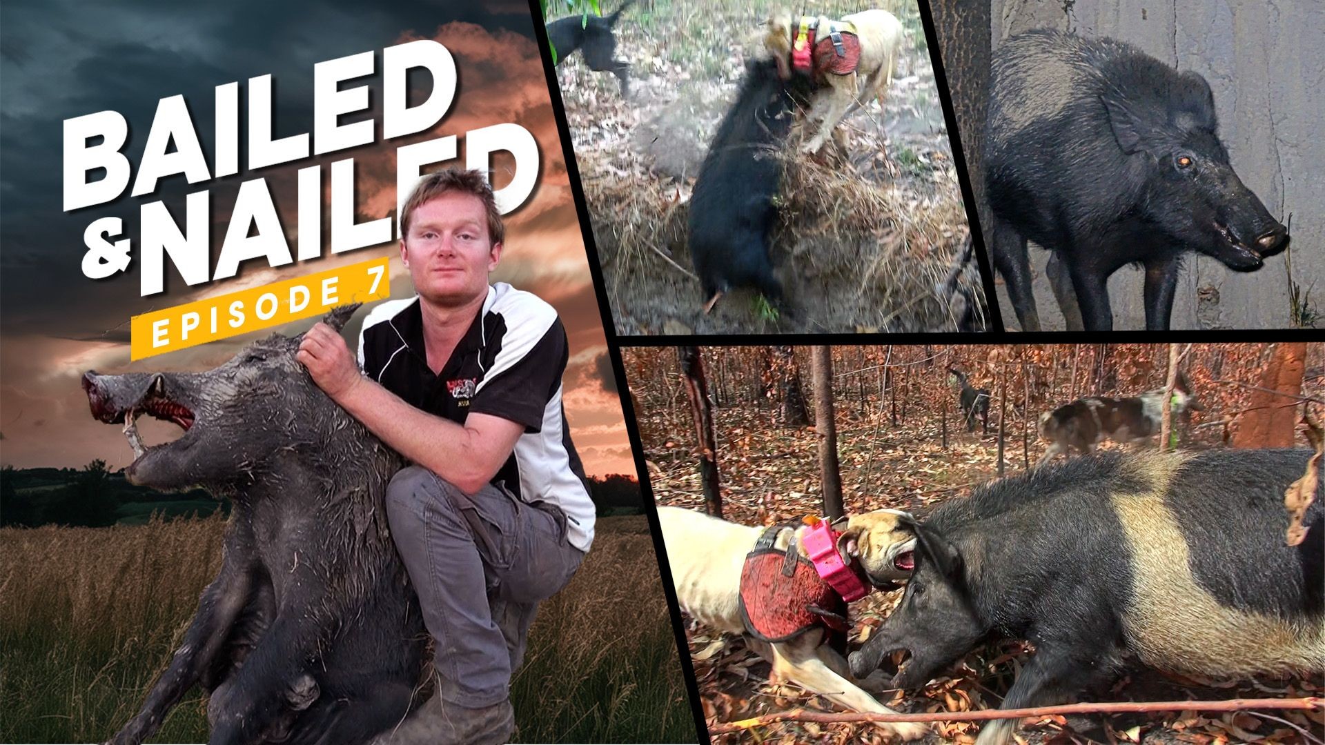 E7 - Bailed & Nailed