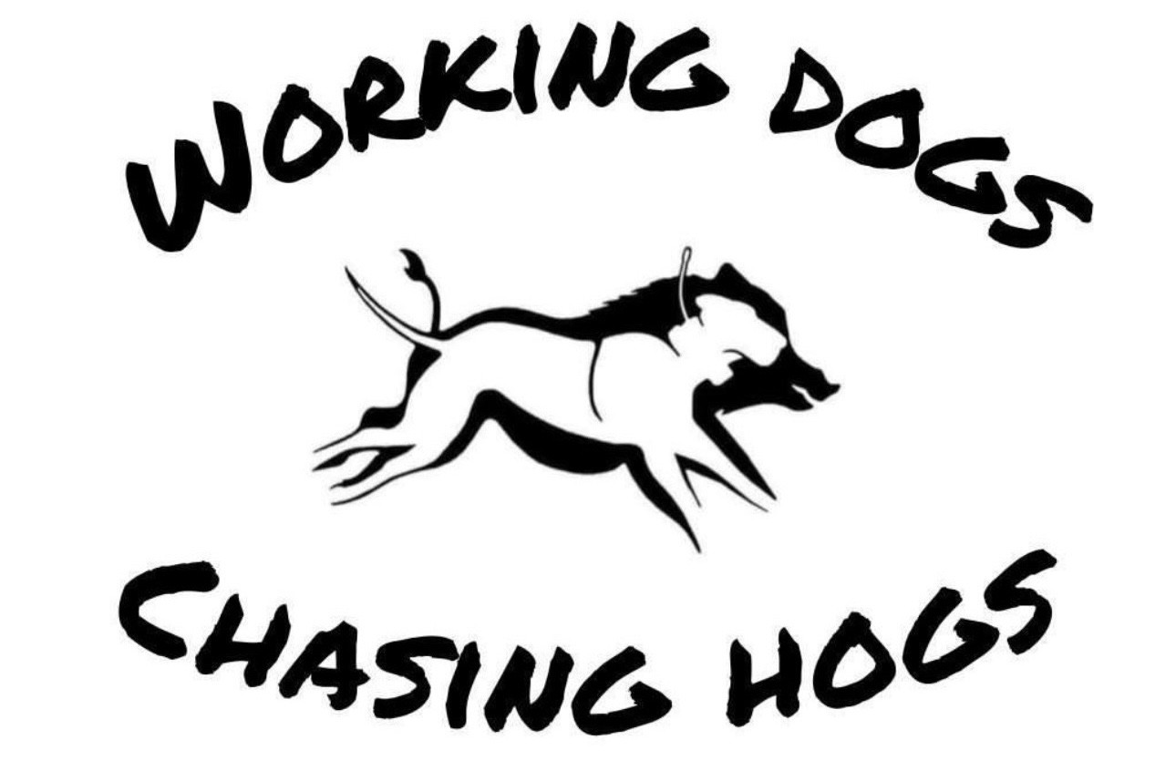 Working Dogs Chasing Hogs