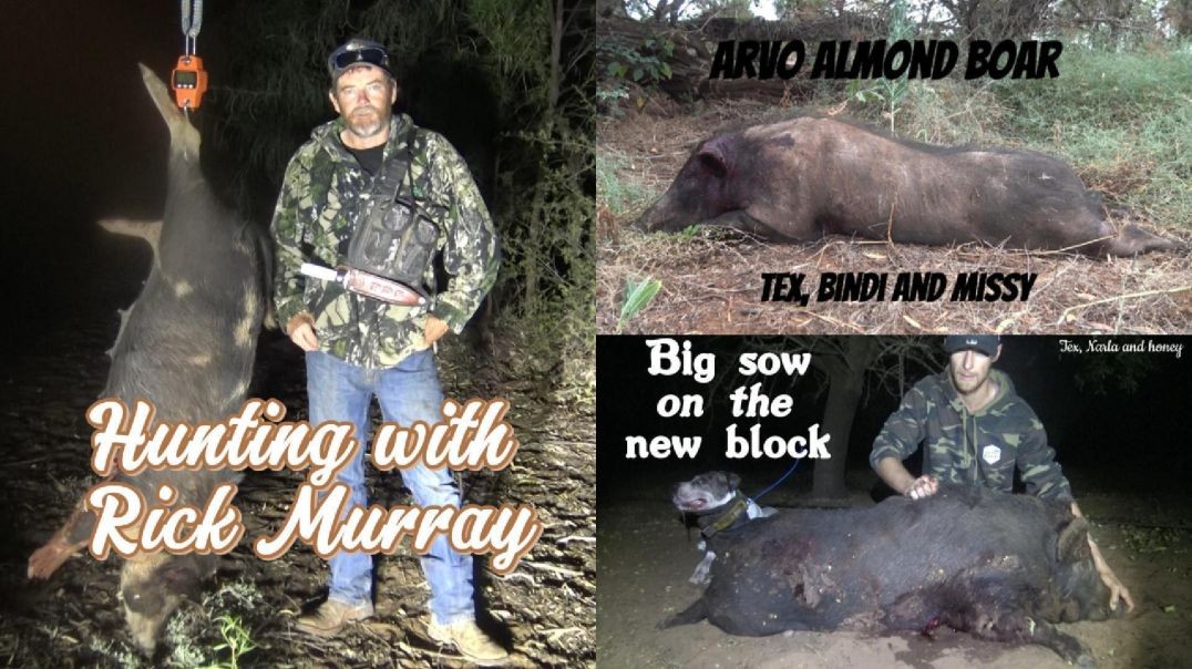 episode 4 hunting the almonds and meeting Rick ...