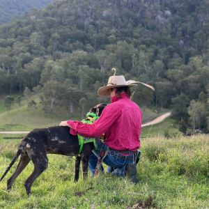 Michael Clark profile picture