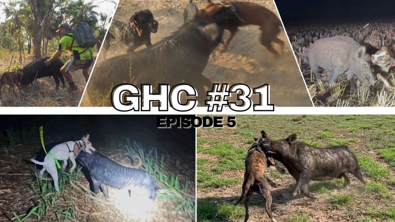 GHC S31 E05
