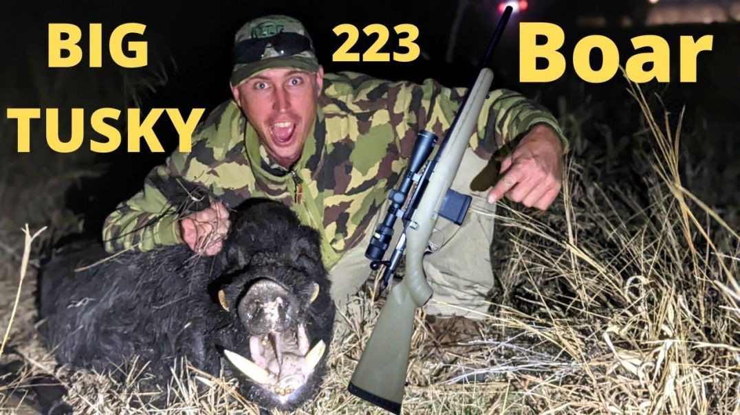 Into The Pigs On A New Block