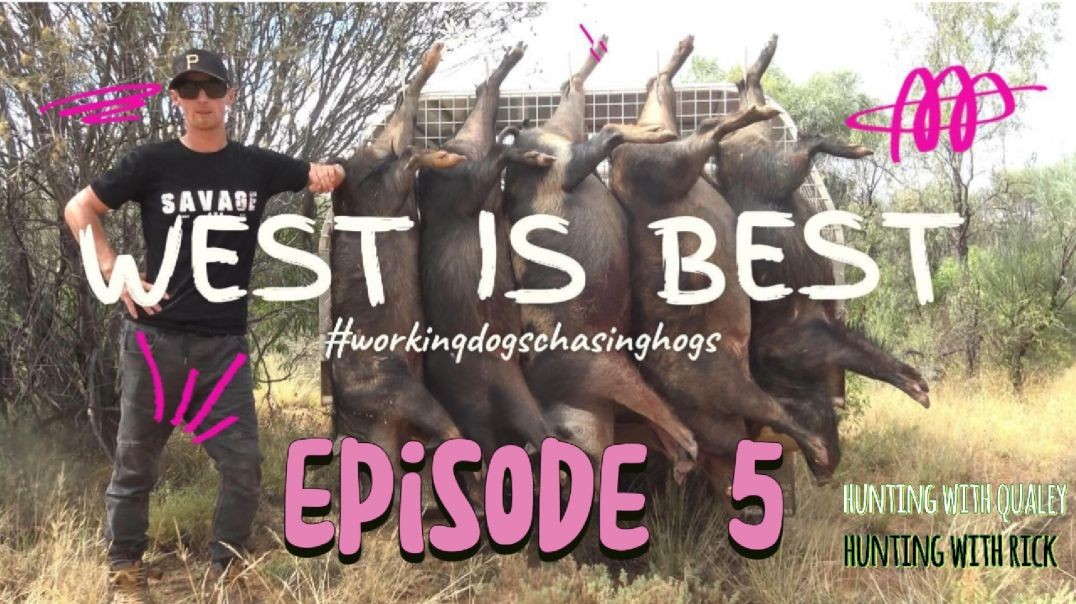 Working dogs E5 'west is best'