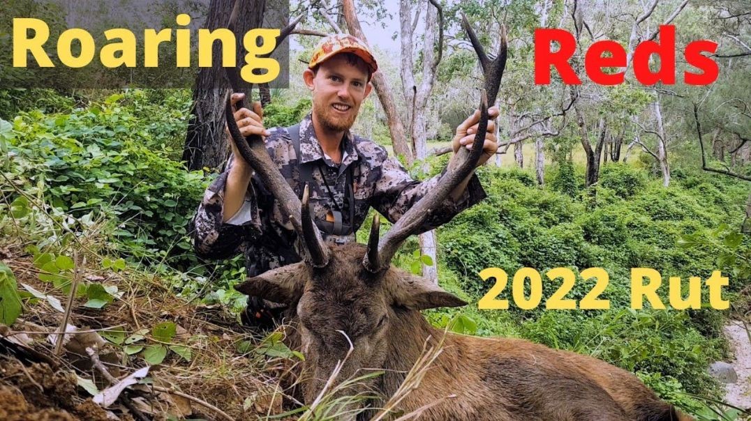 Mark's Red Stag Hunt 2022