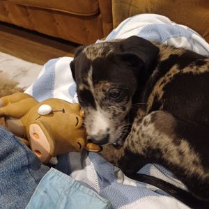 scotty j profile picture