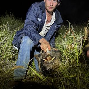 Joseph Adams profile picture