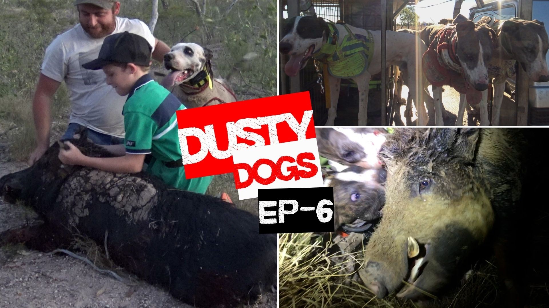 E6 Dusty dogs
