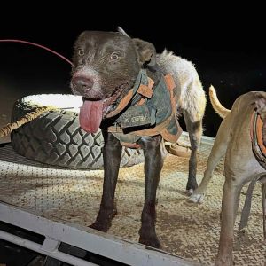 Chris  Crotty  profile picture