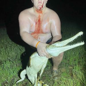 Lukas Williams  profile picture