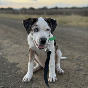 grace law profile picture