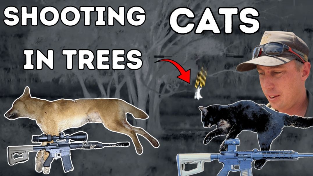 Howling Dingos In The Dark Part 1