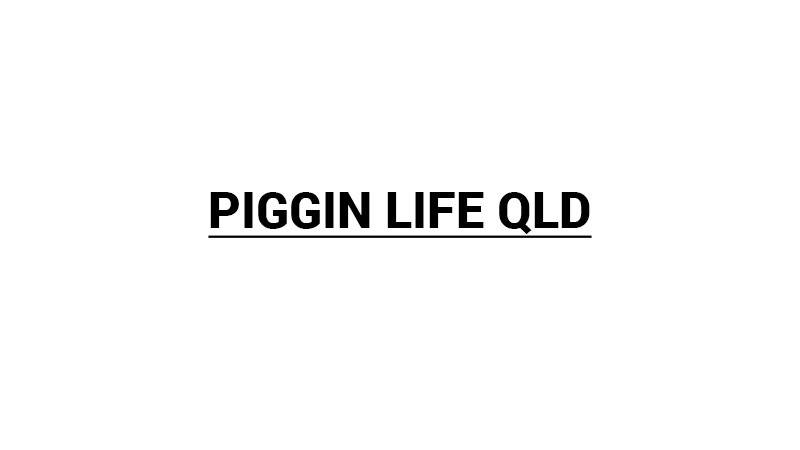 Piggin Life QLD